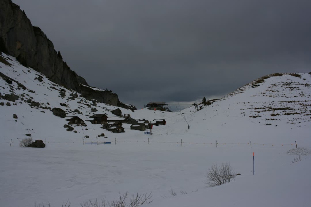 IMG_0050.JPG