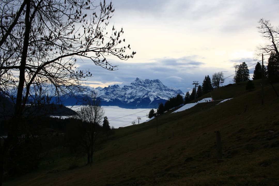 IMG_0065.JPG