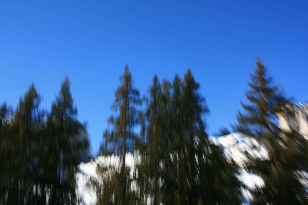 IMG_0111.JPG