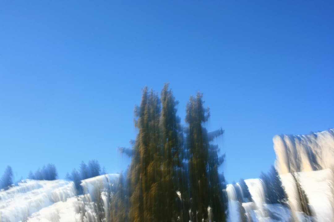IMG_0114.JPG