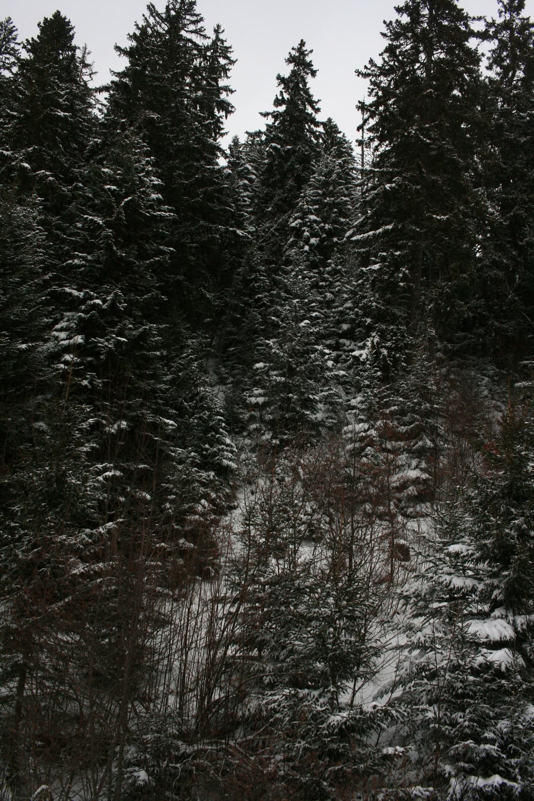 IMG_0125.JPG