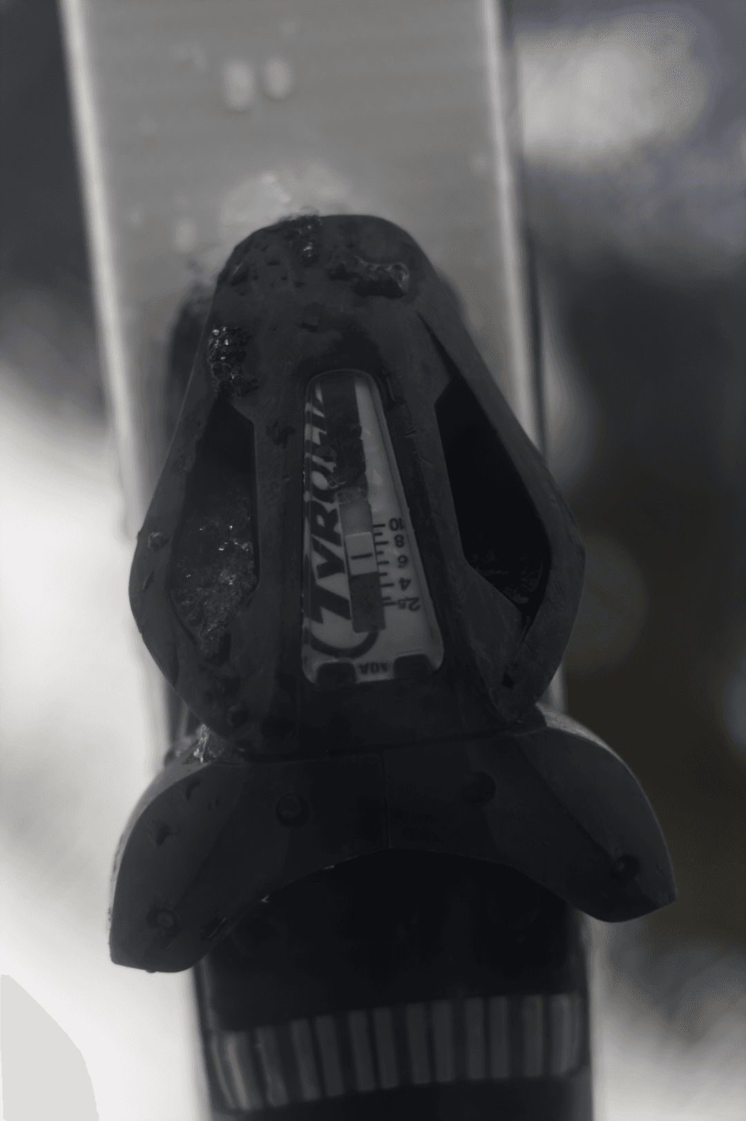 IMG_0135.png