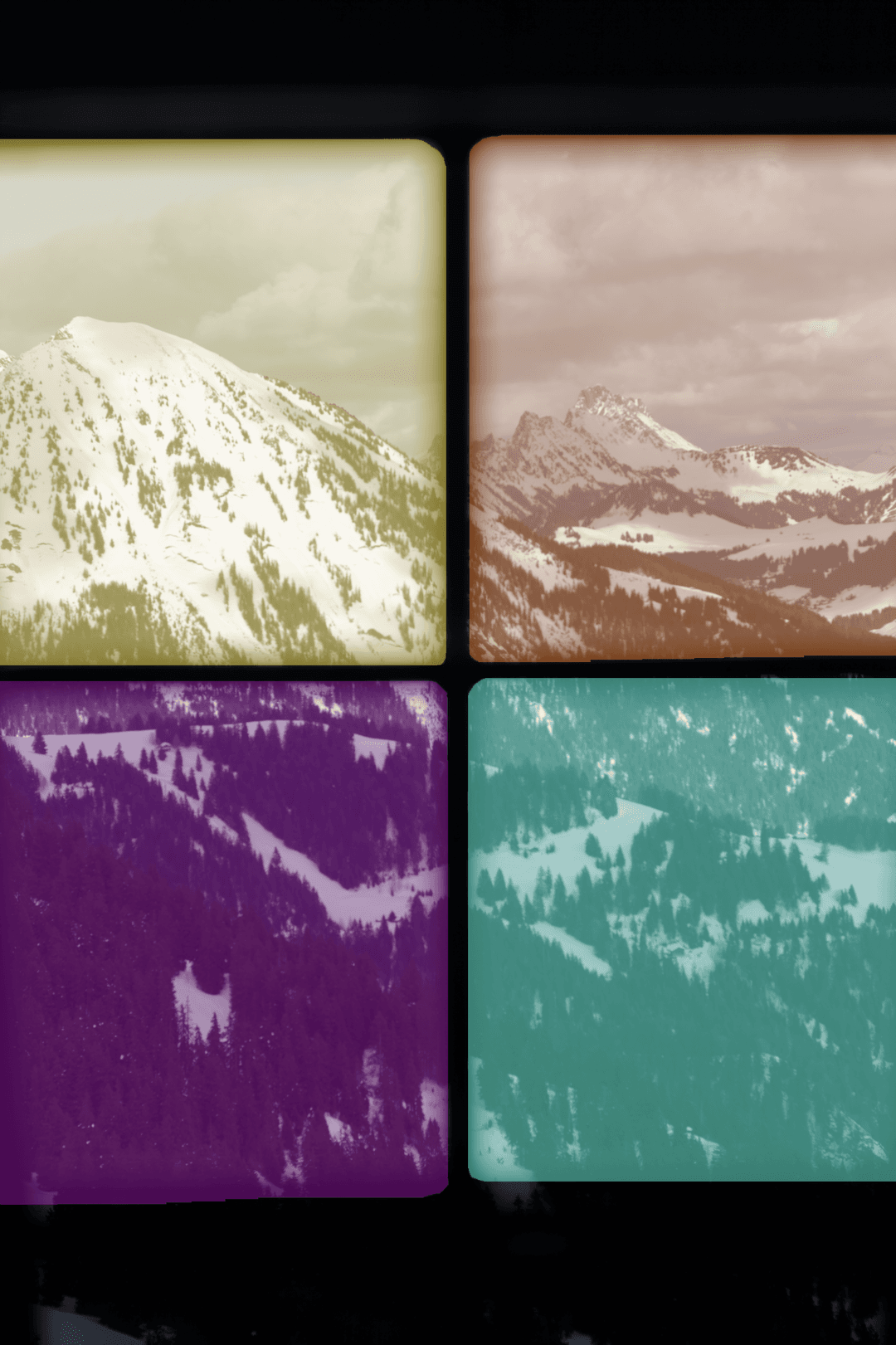 IMG_0206-2.png