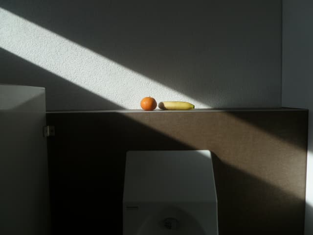 P1060712.JPG