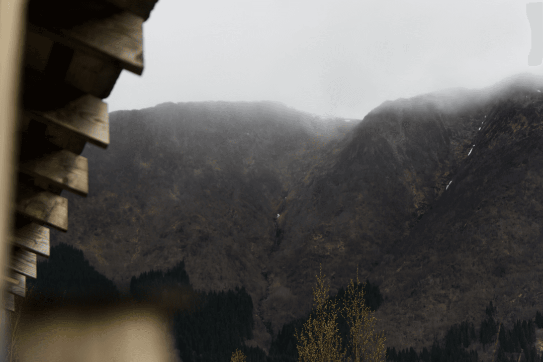_MG_0013.png