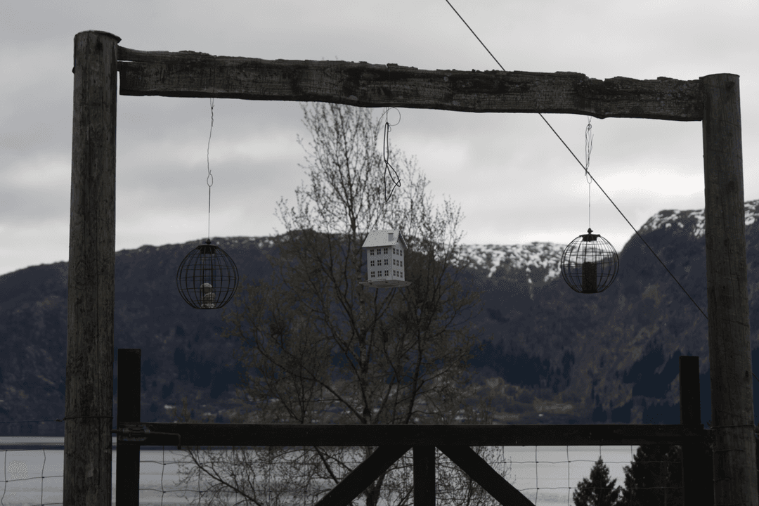 _MG_0015.png