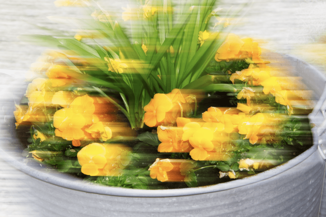 _MG_0019.png