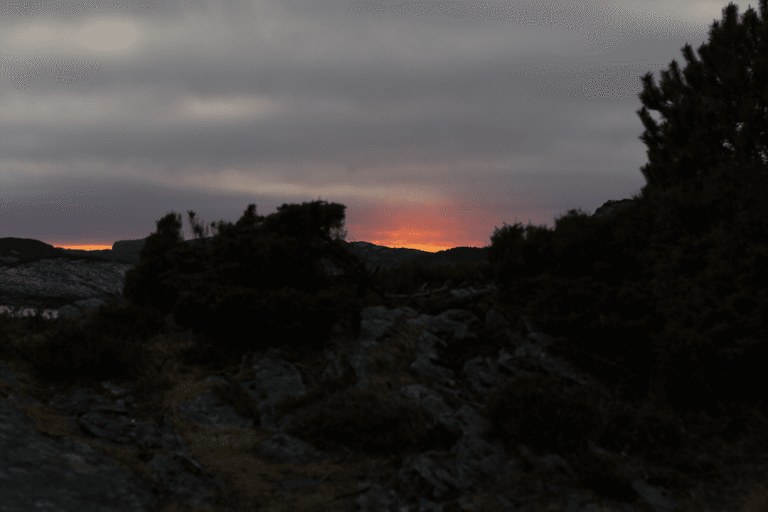 _MG_0044.png