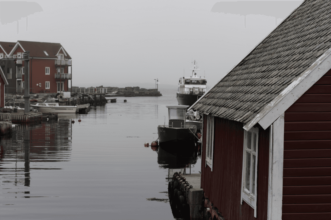 _MG_0057.png