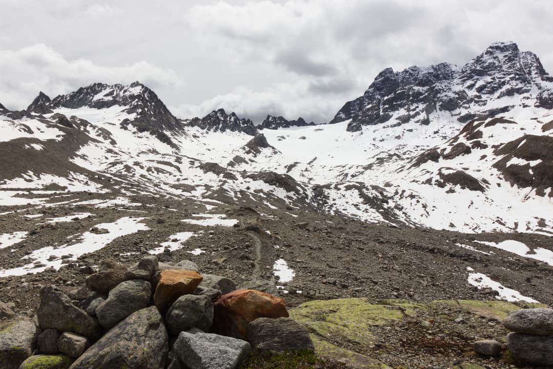 _MG_0107.jpg