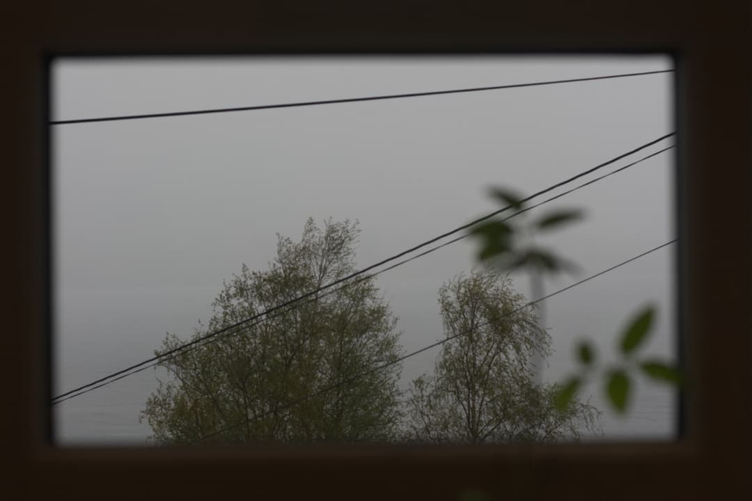 _MG_0115.jpg