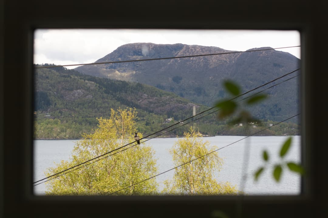 _MG_0175.jpg