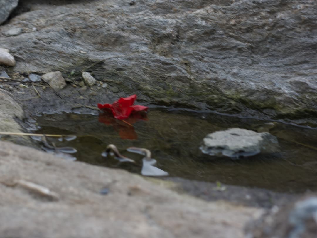_MG_0176.jpg