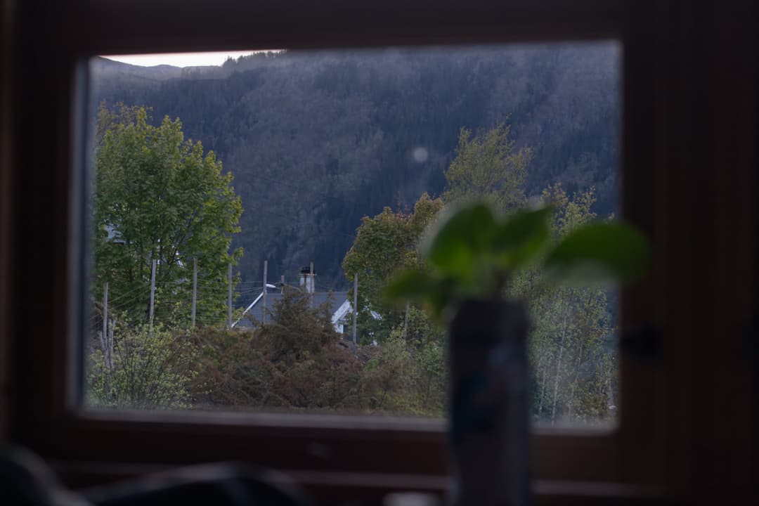 _MG_0180.jpg