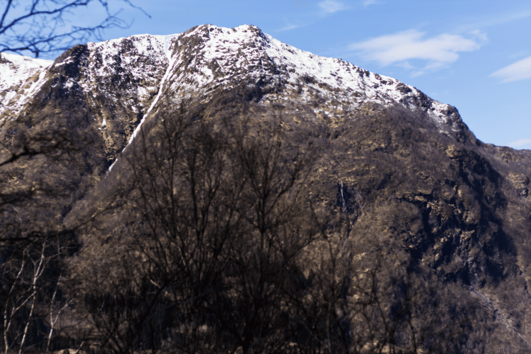 _MG_0279.png