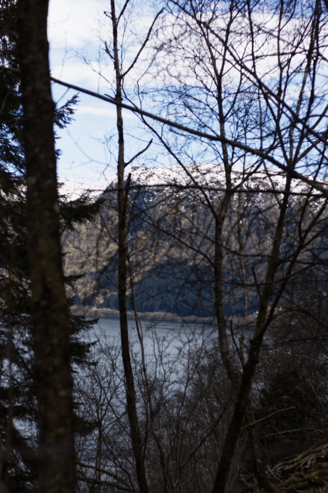 _MG_0284.png