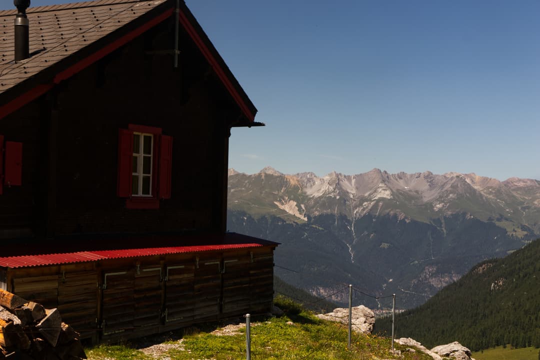 _MG_0511.jpg