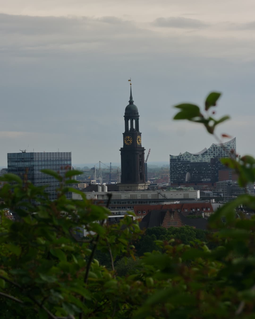 _MG_0528.jpg