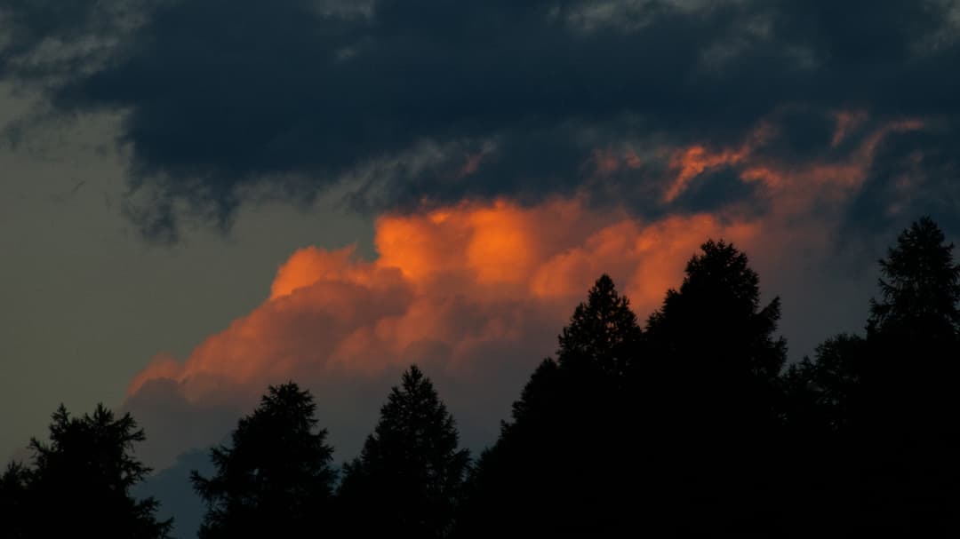 _MG_0616.jpg