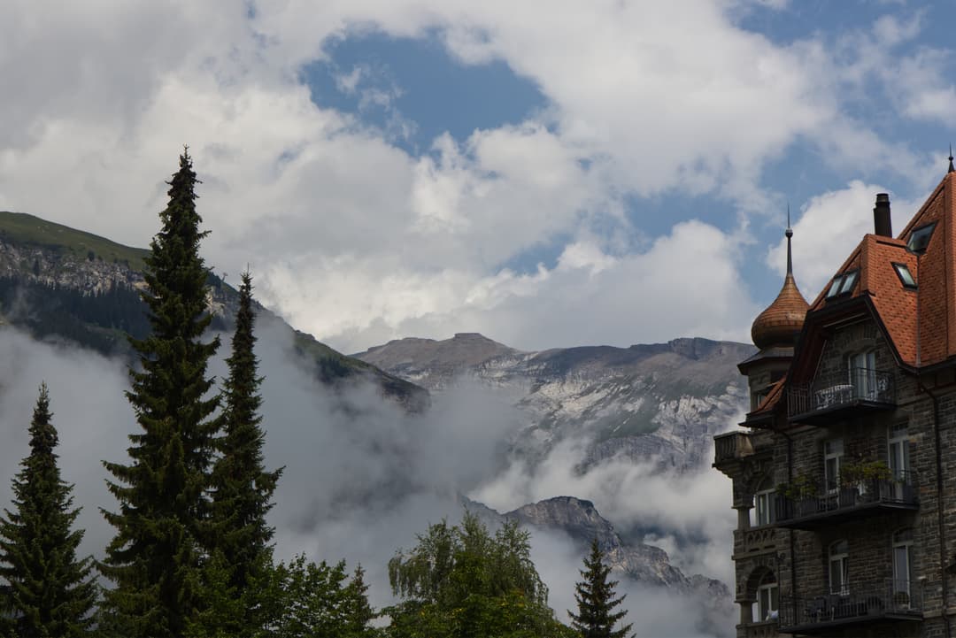 _MG_0642.jpg