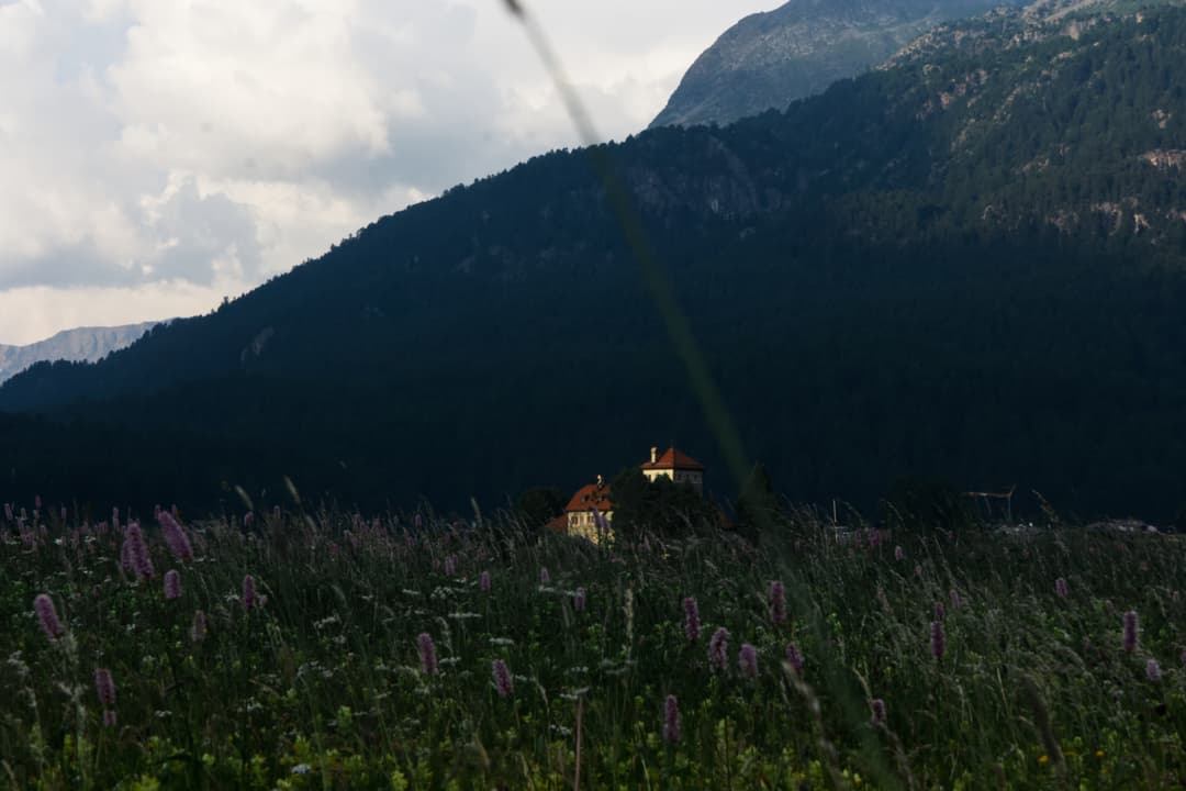 _MG_0745.jpg