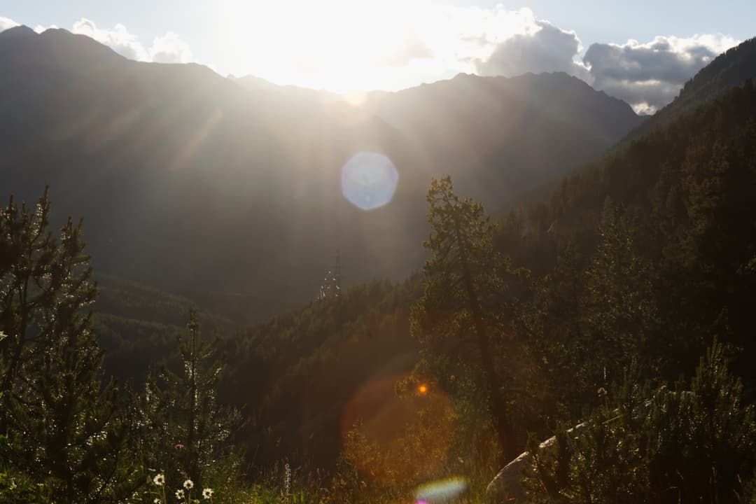 _MG_0752.jpg