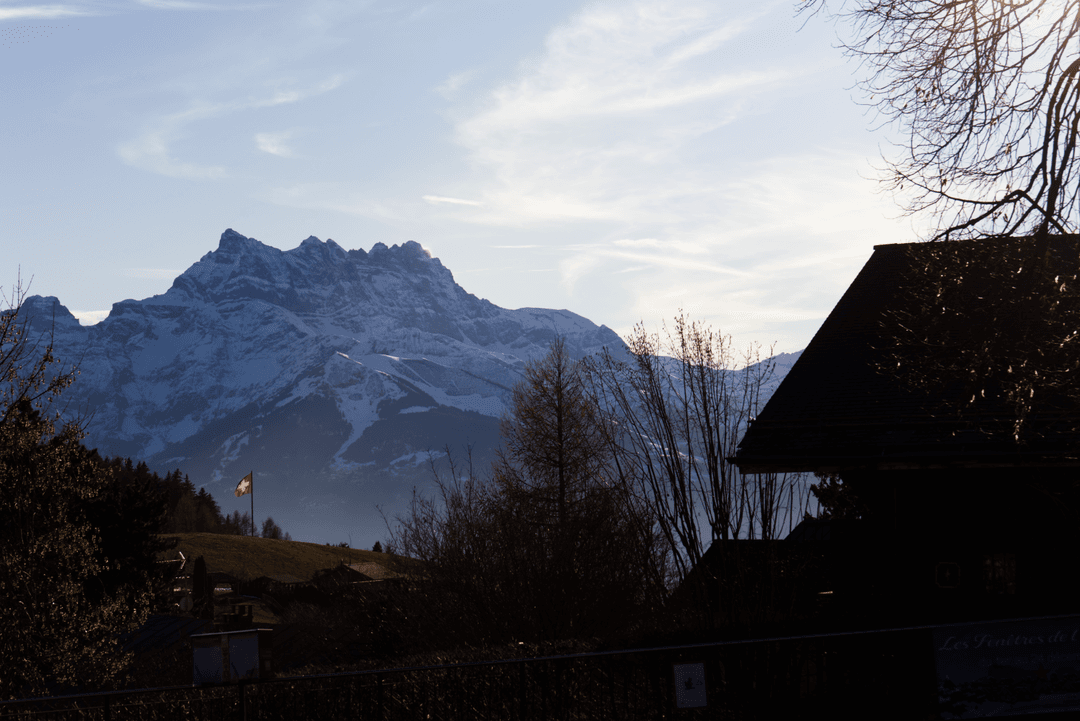 _MG_8349.png