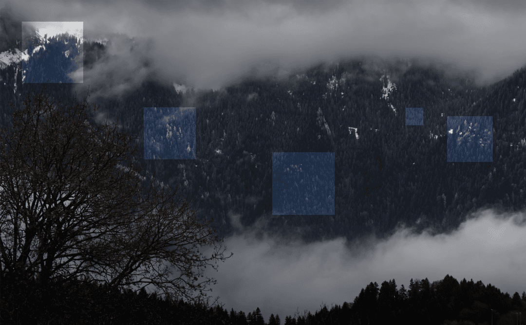_MG_8367.png