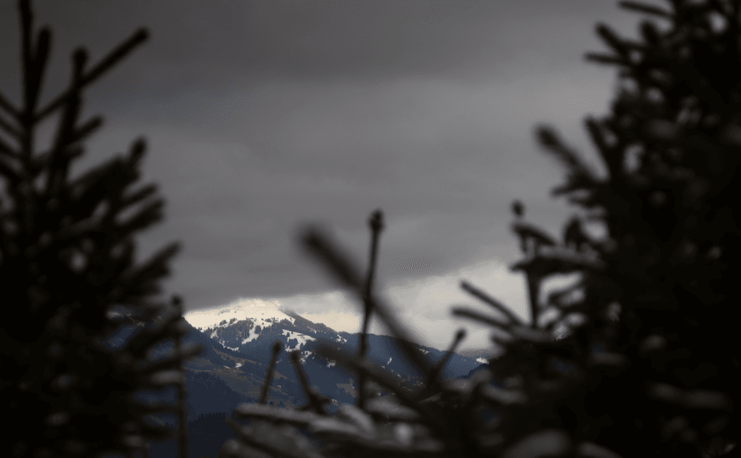 _MG_8370.png