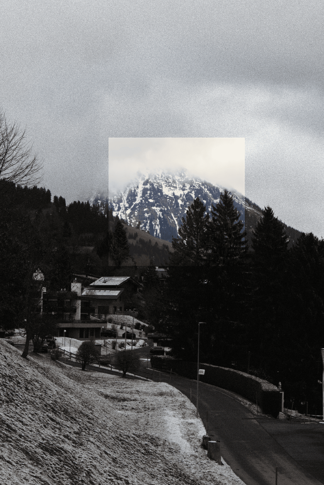_MG_8373.png