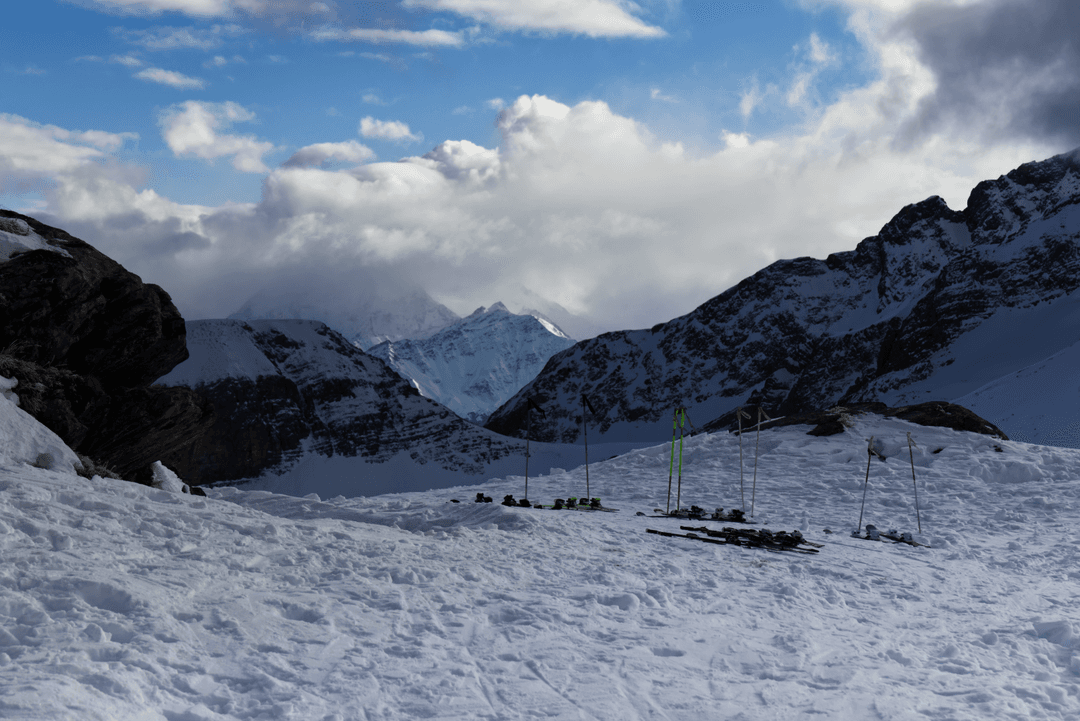 _MG_8433.png