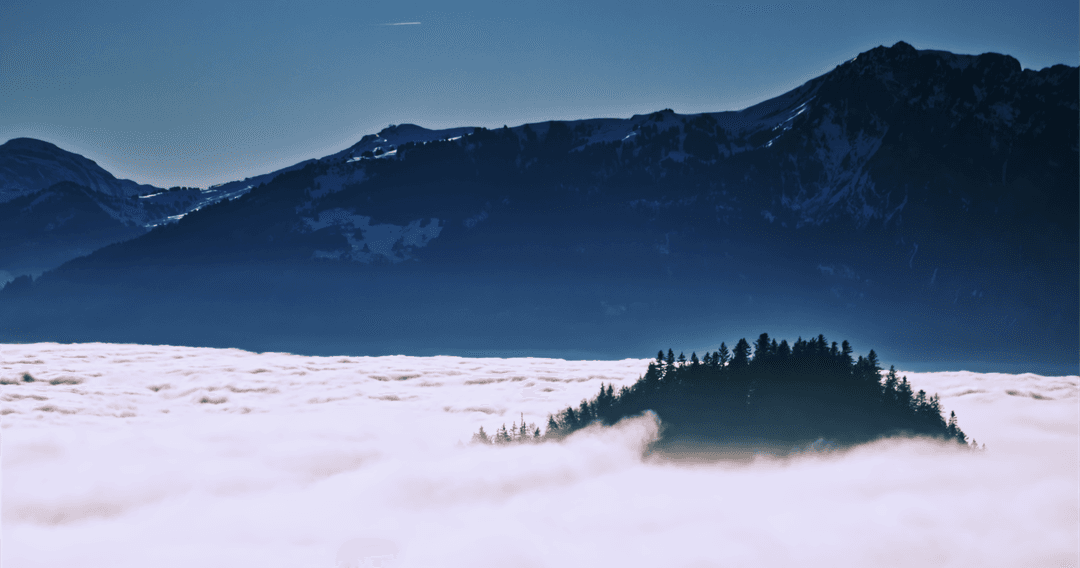 _MG_8451-1.png