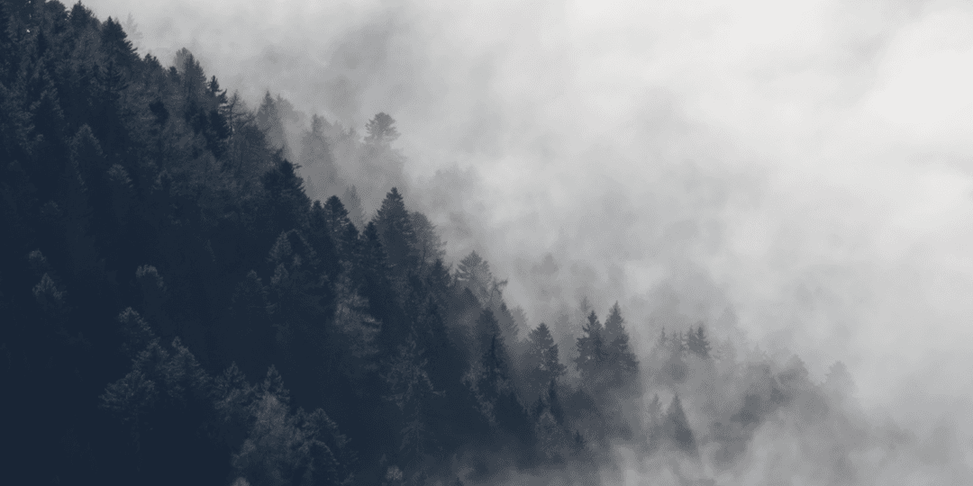 _MG_8479-1.png