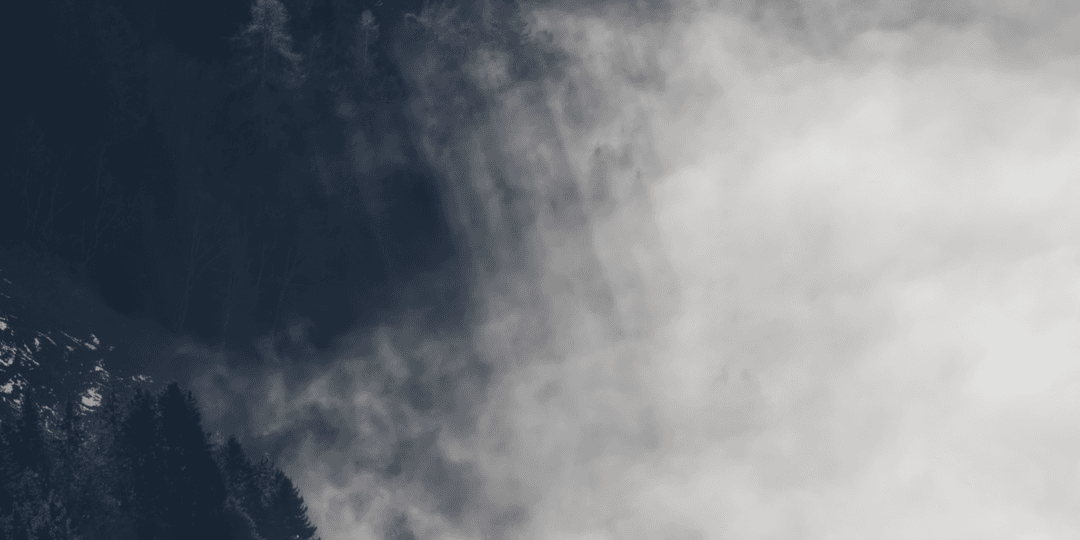_MG_8479-2.png