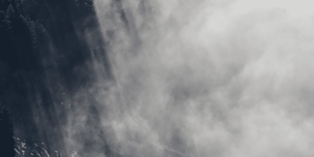 _MG_8479-3.png
