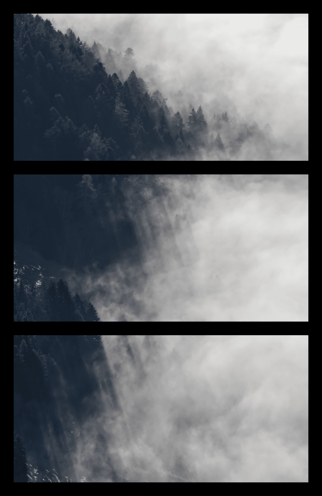 _MG_8479.png