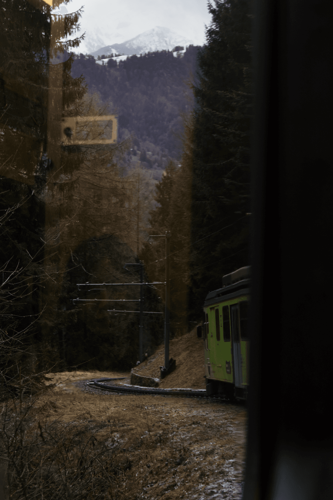 _MG_8483.png