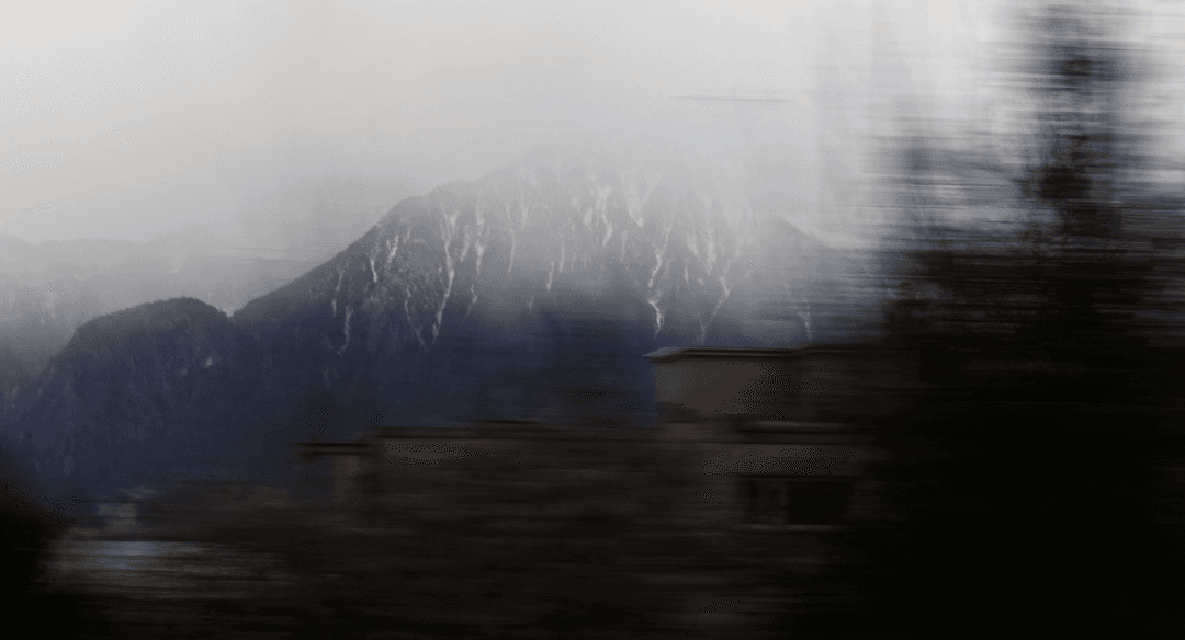 _MG_8496.png