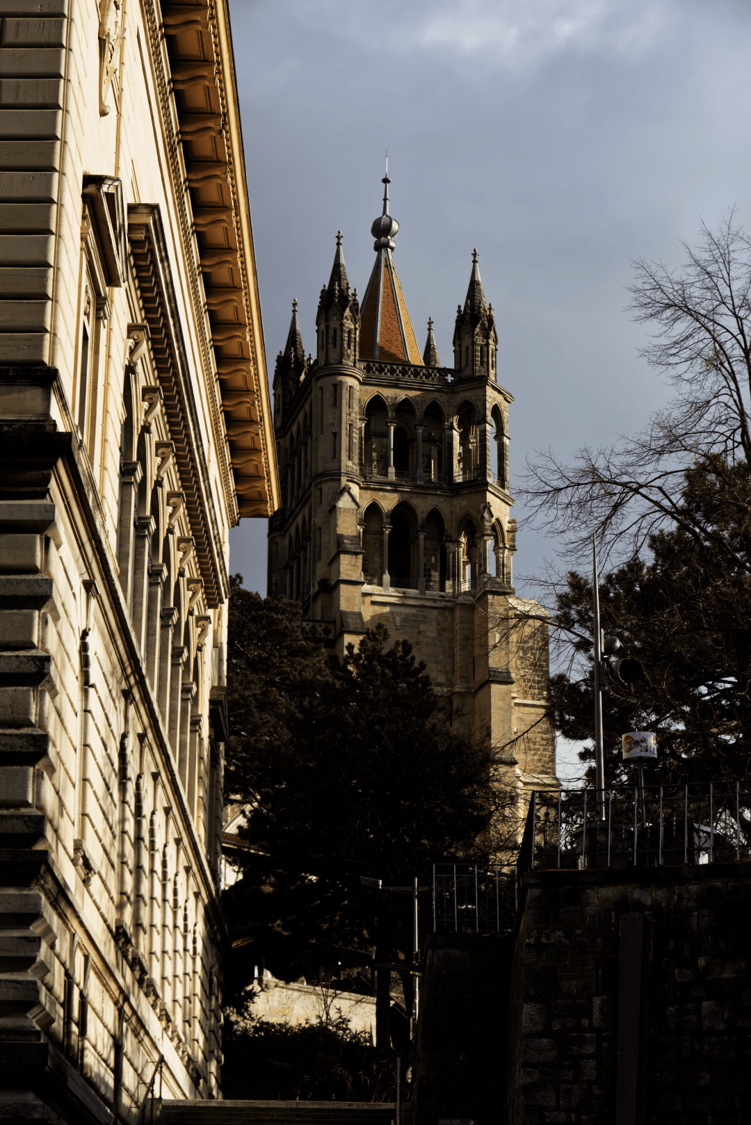 _MG_8517.png