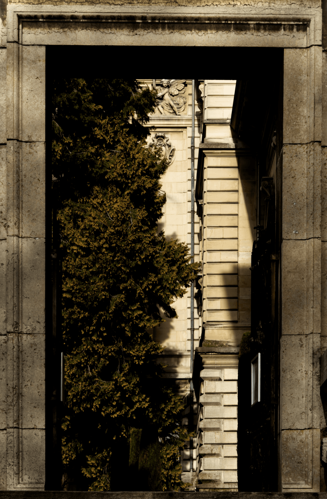 _MG_8518.png