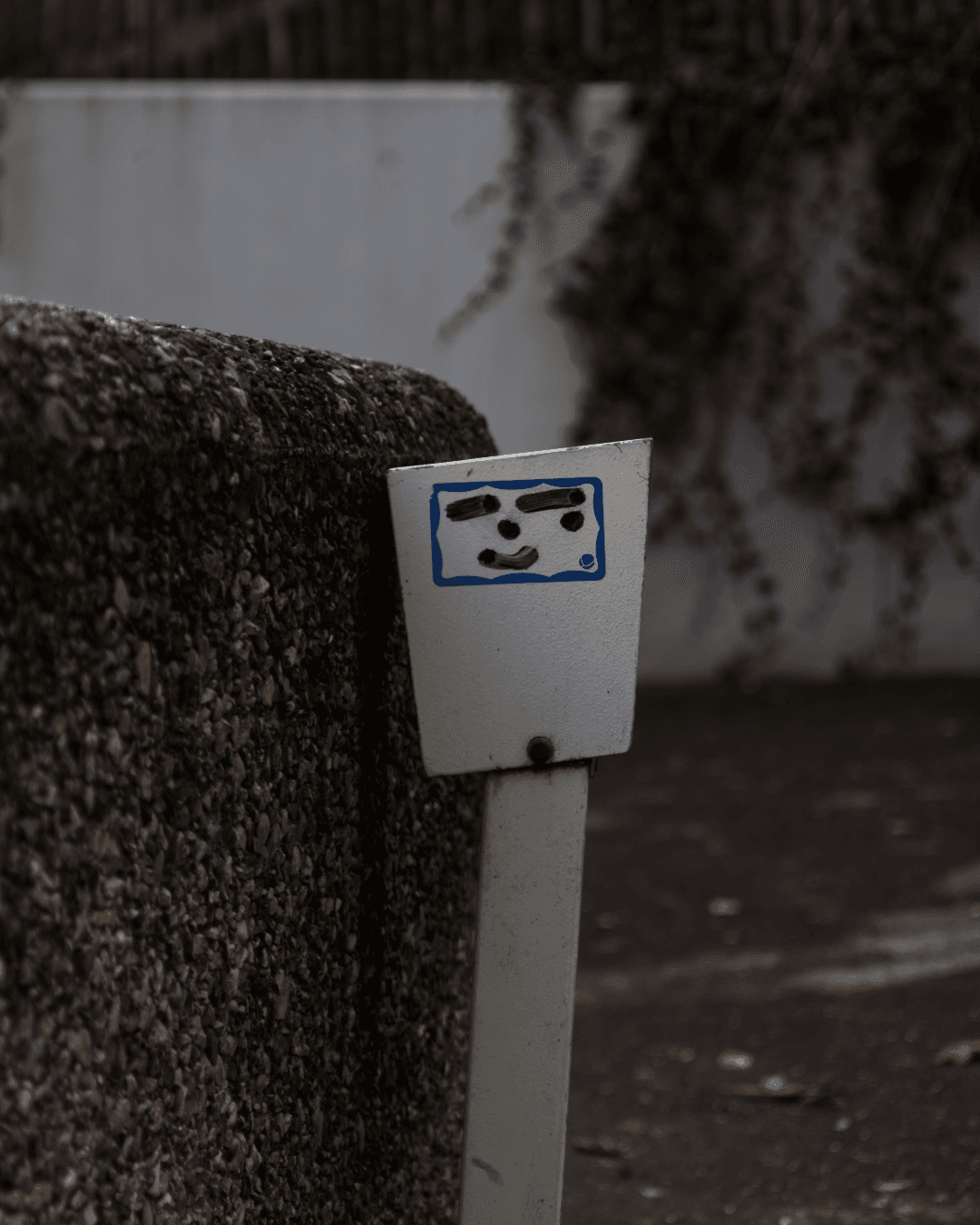 _MG_8528.png