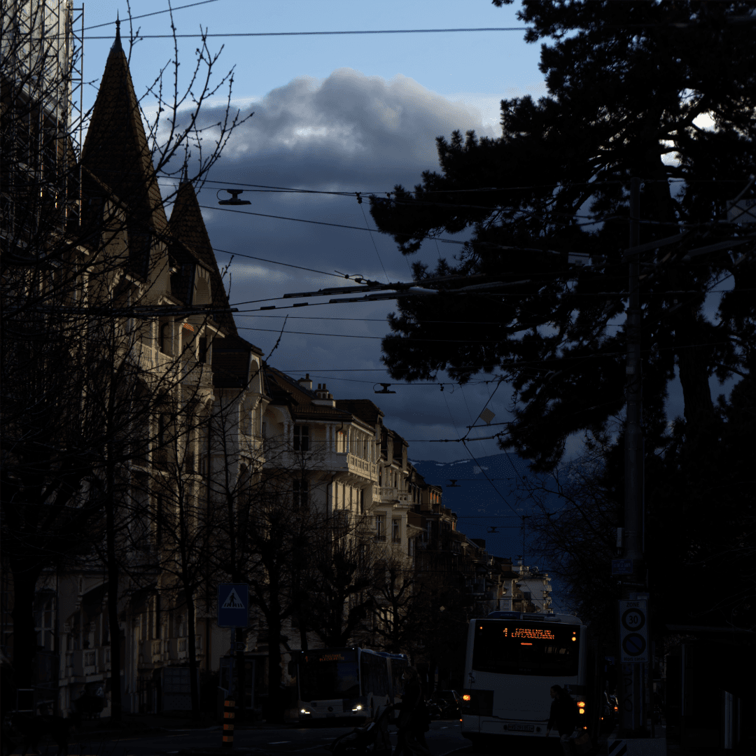 _MG_8533.png