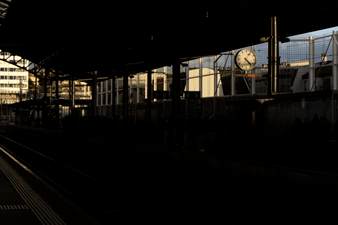 _MG_8548.png