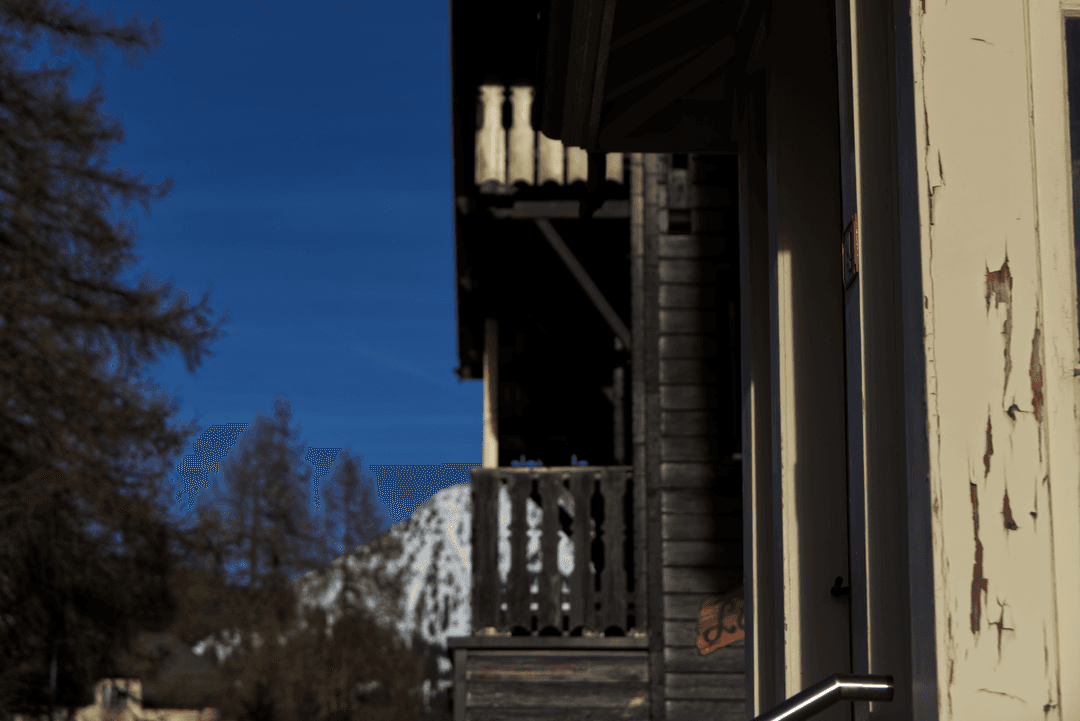_MG_8565.png