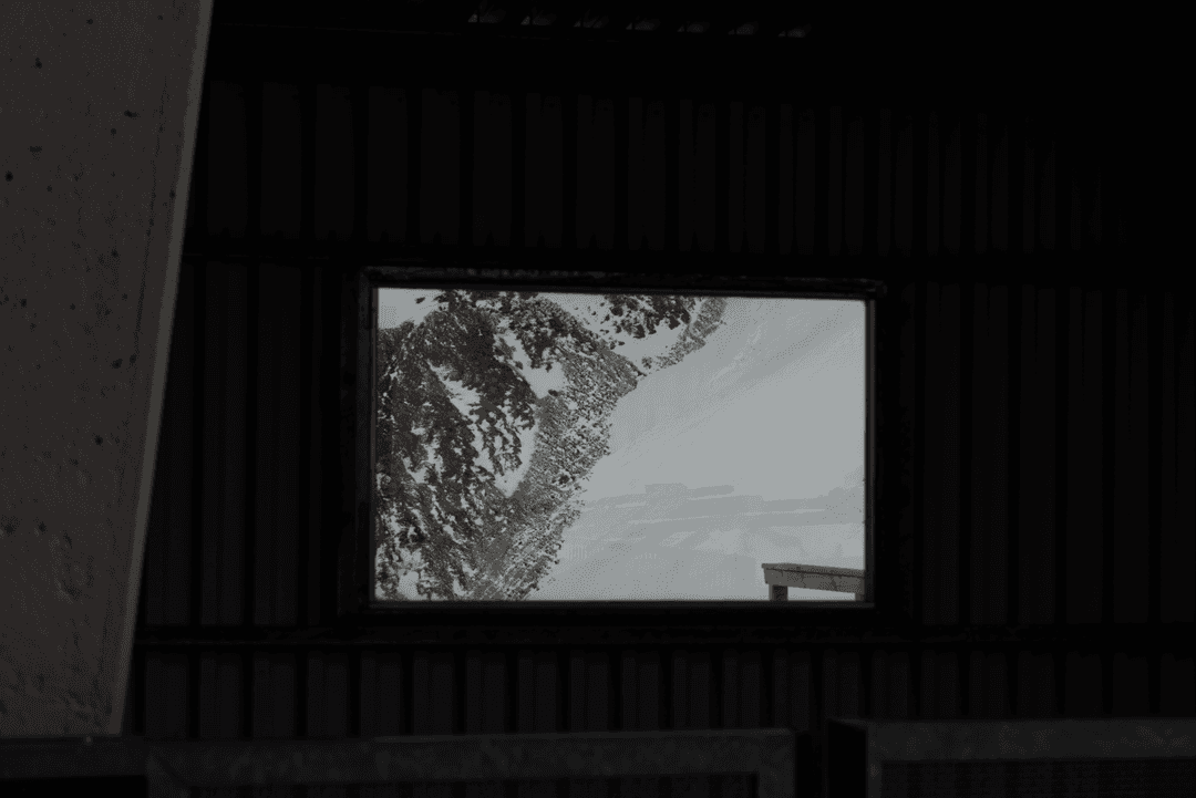_MG_8584.png
