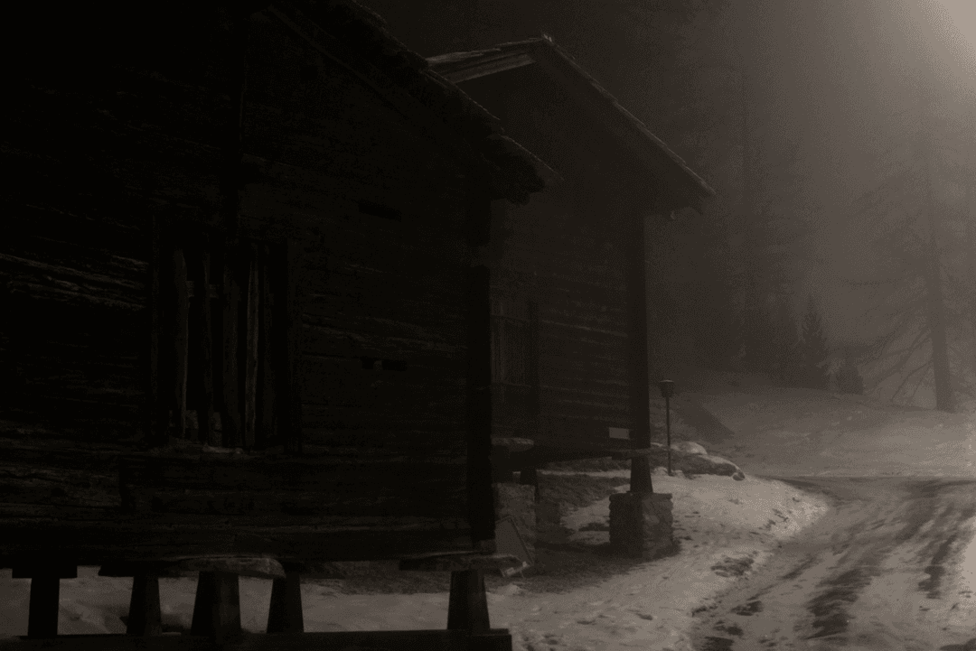 _MG_8676.png