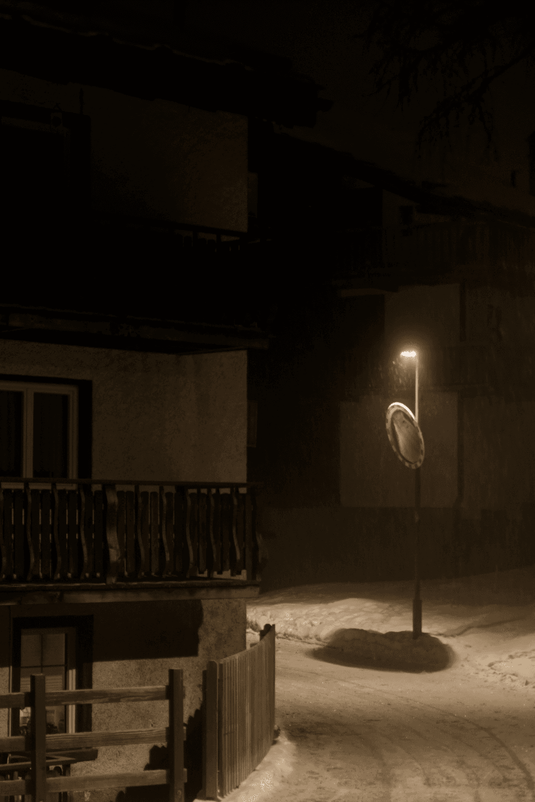 _MG_8677.png