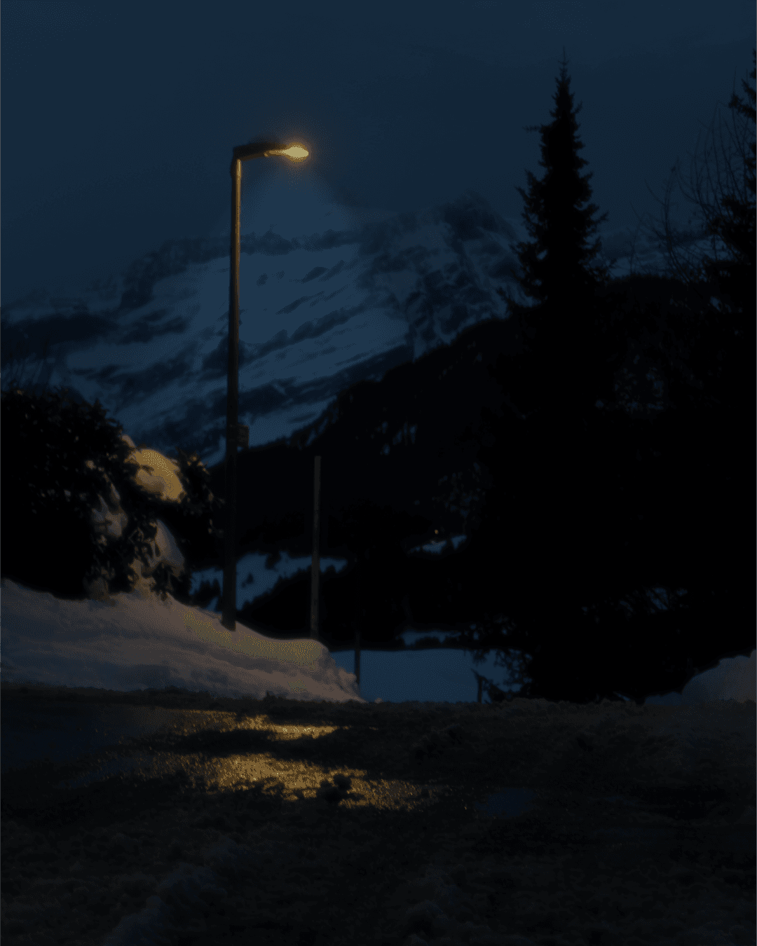 _MG_8901.png