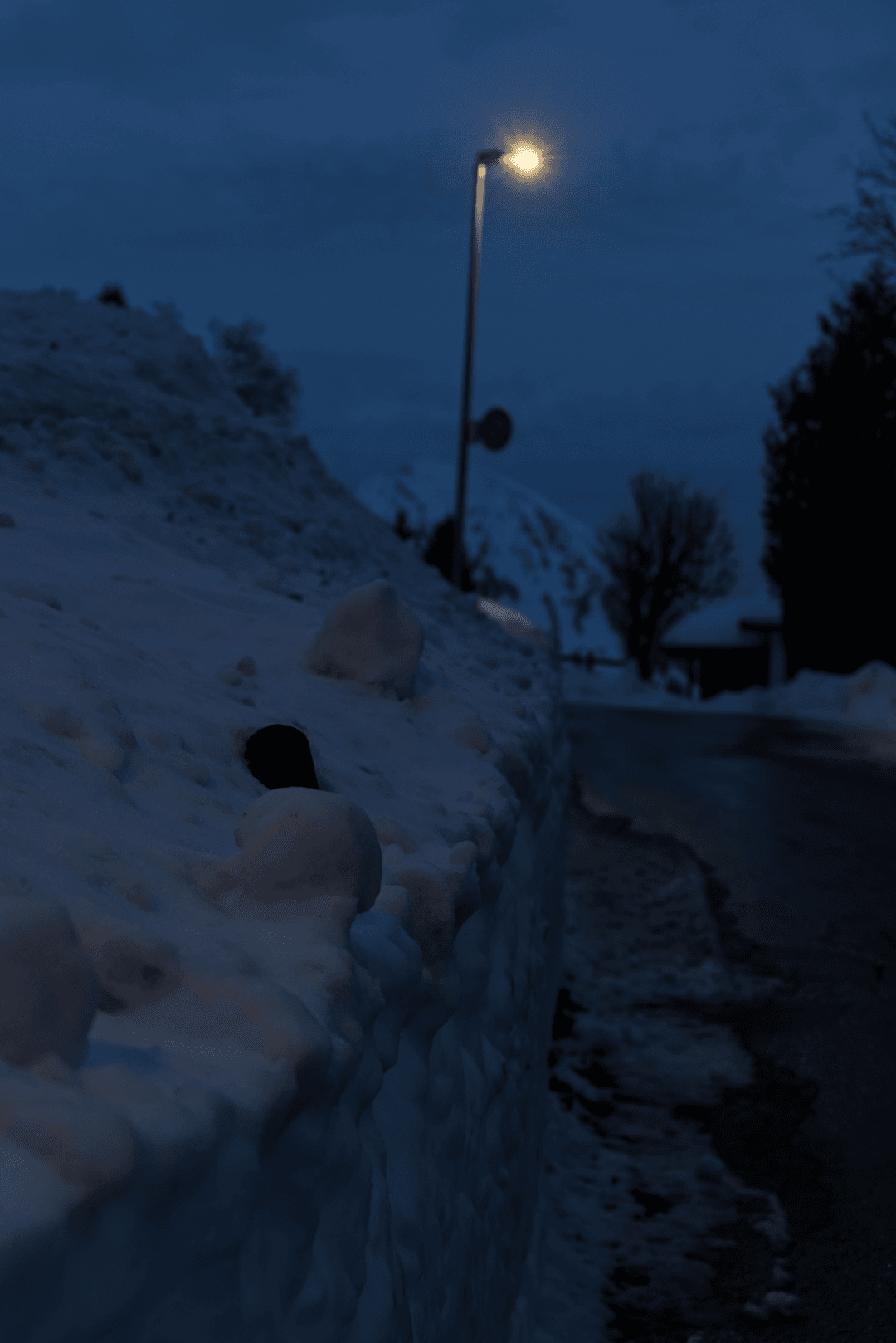 _MG_8903.png