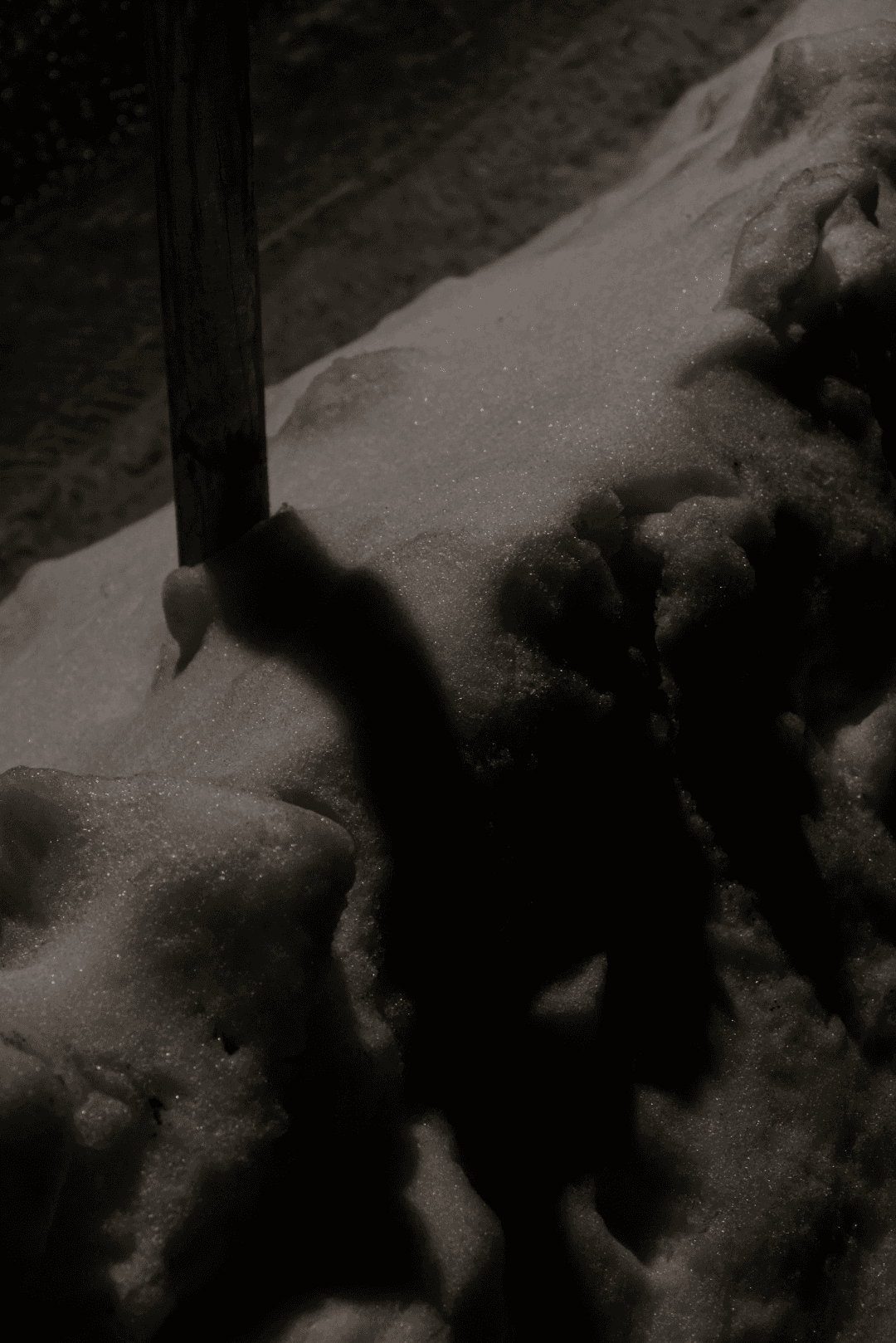 _MG_8905.png